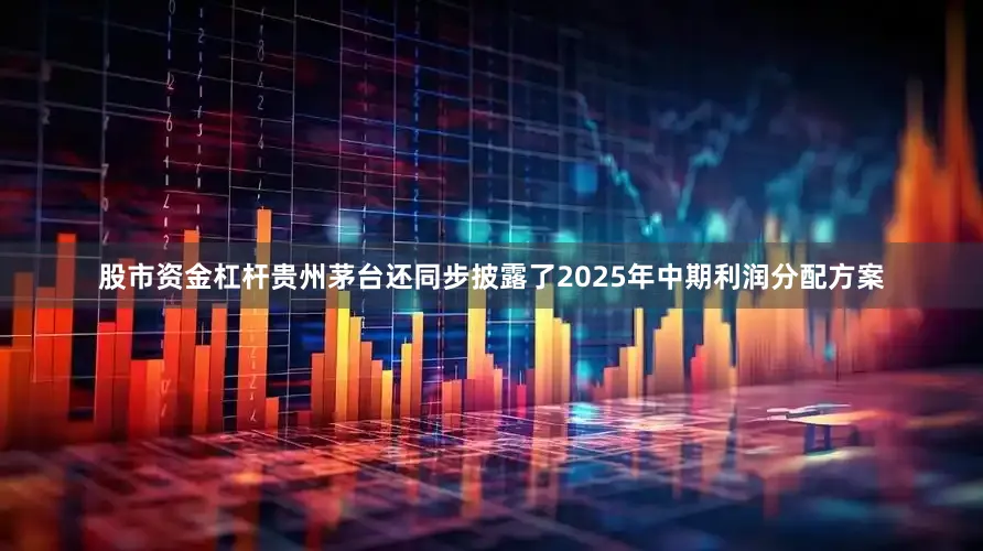 股市资金杠杆贵州茅台还同步披露了2025年中期利润分配方案